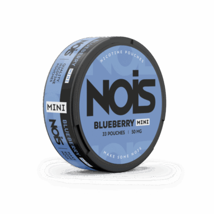 NOIS Mini Blueberry